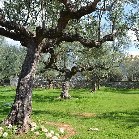 Lejlighed Loupino Family House Stoúpa
