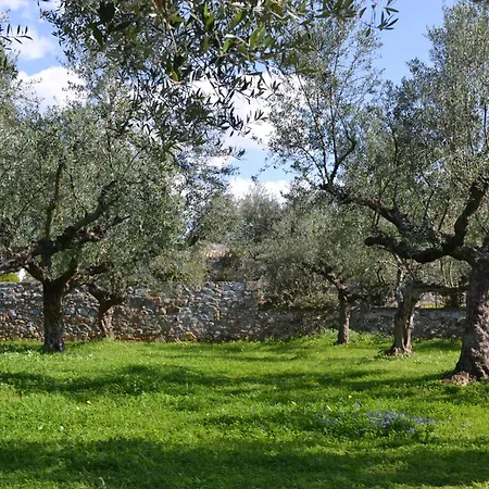 Daire Loupino Family House *