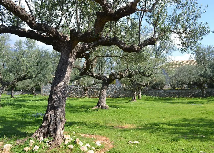 Appartement Loupino Family House Stoúpa